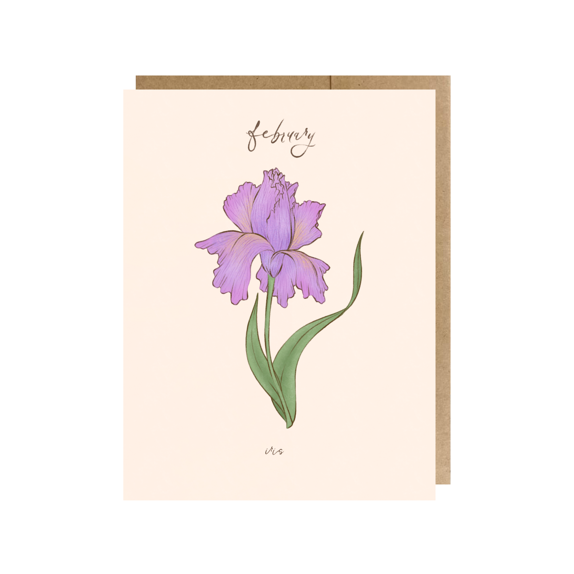 February Birth Month Flower (Iris) Greeting Card - The Paper Narwhal