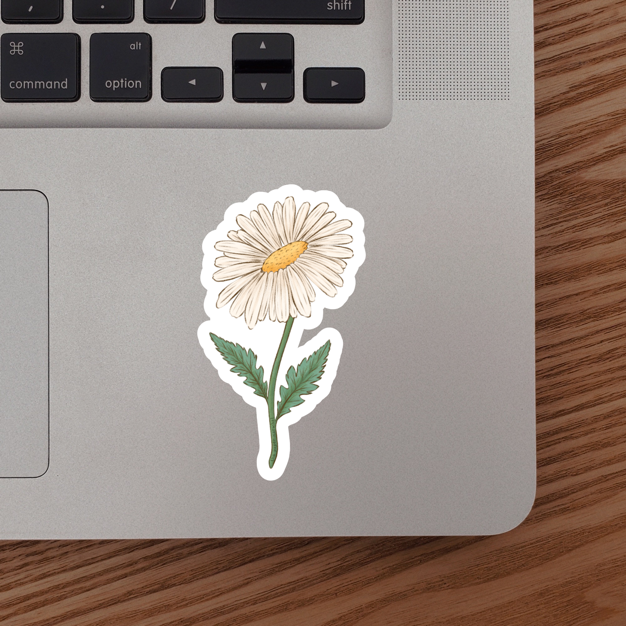 Daisy (April Birth Month Flower) Sticker – The Paper Narwhal