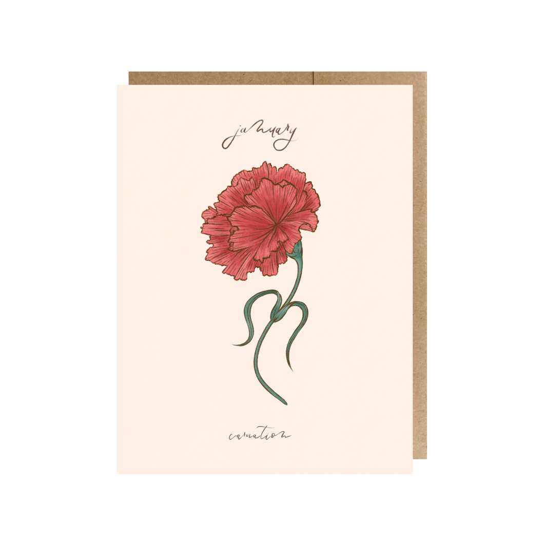 January Birth Month Flower (Carnation) Greeting Card