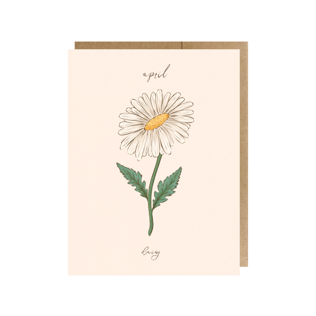 April Birth Month Flower (Daisy) Greeting Card