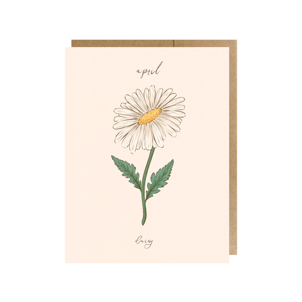 April Note Cards April Birth Month Flower (Daisy) Greeting Card – The Paper Narwhal