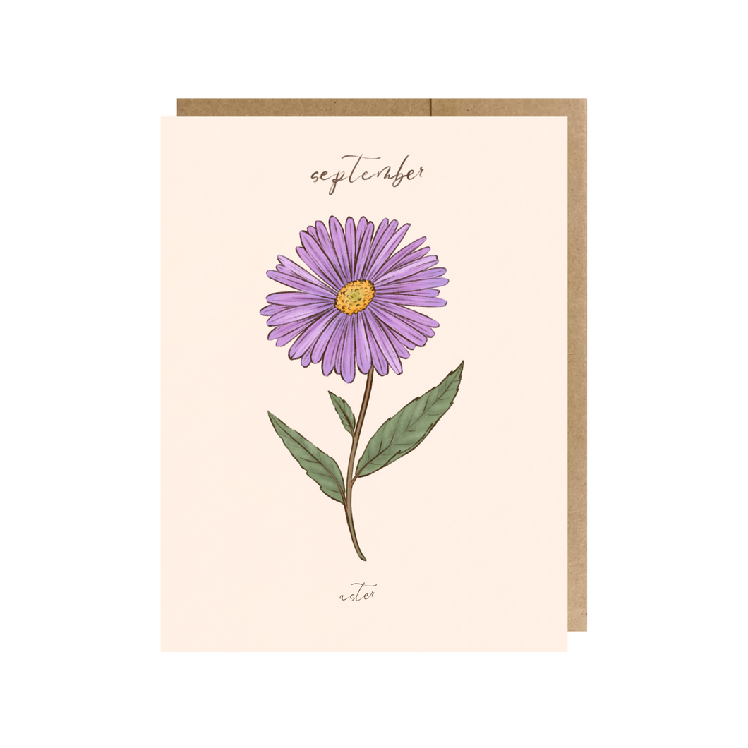 September Birth Month Flower (Aster) Greeting Card