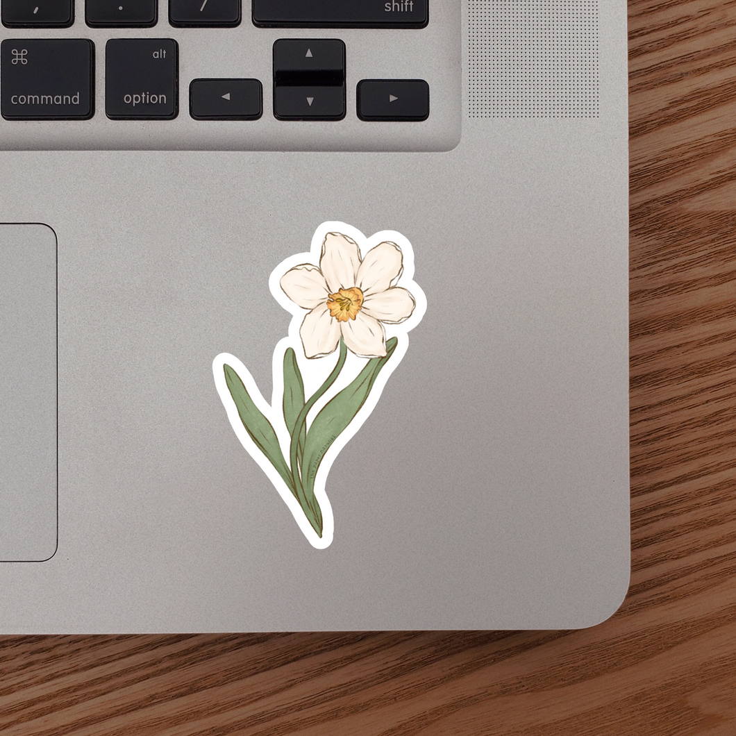 Narcissus (December Birth Month Flower) Sticker
