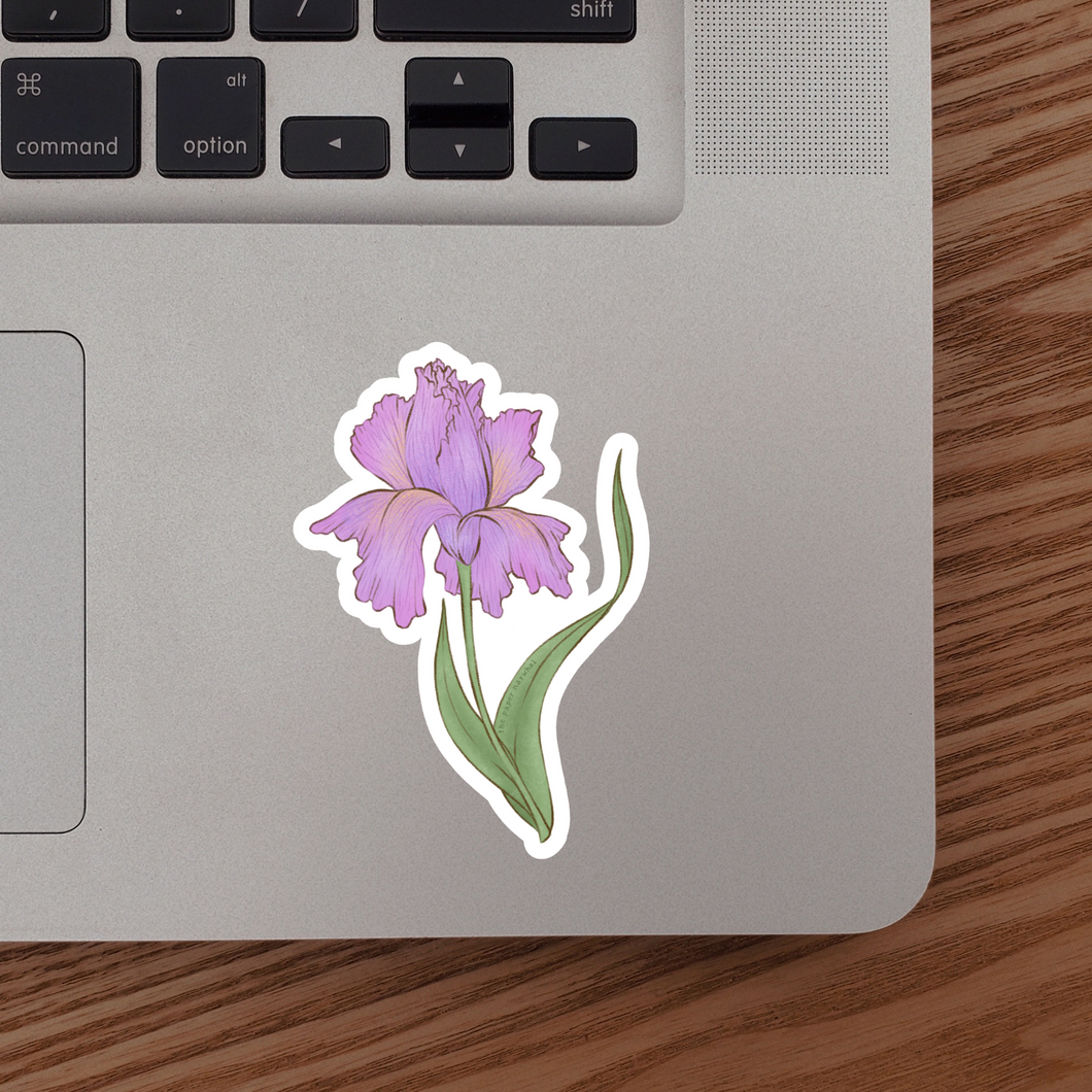 Iris (February Birth Month Flower) Sticker