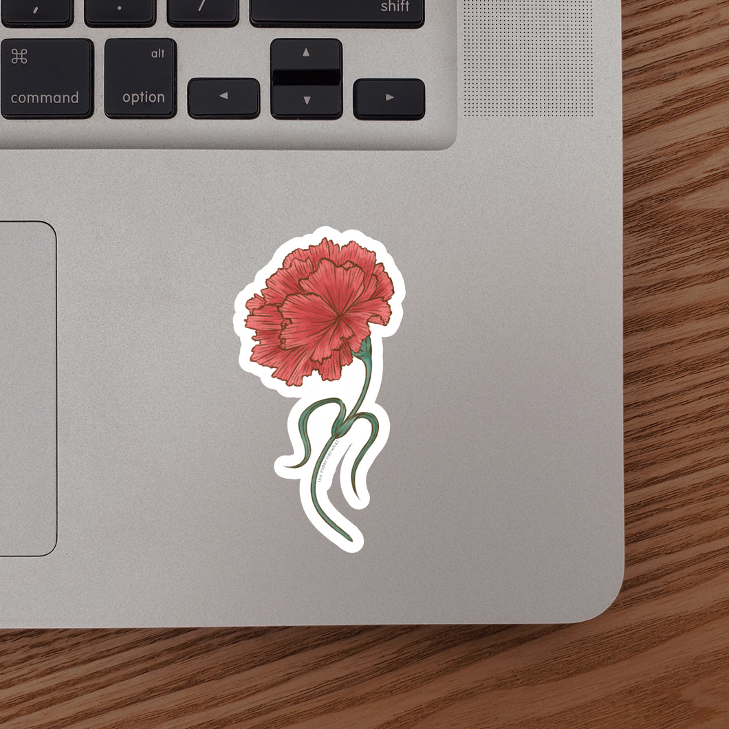 Carnation (January Birth Month Flower) Sticker