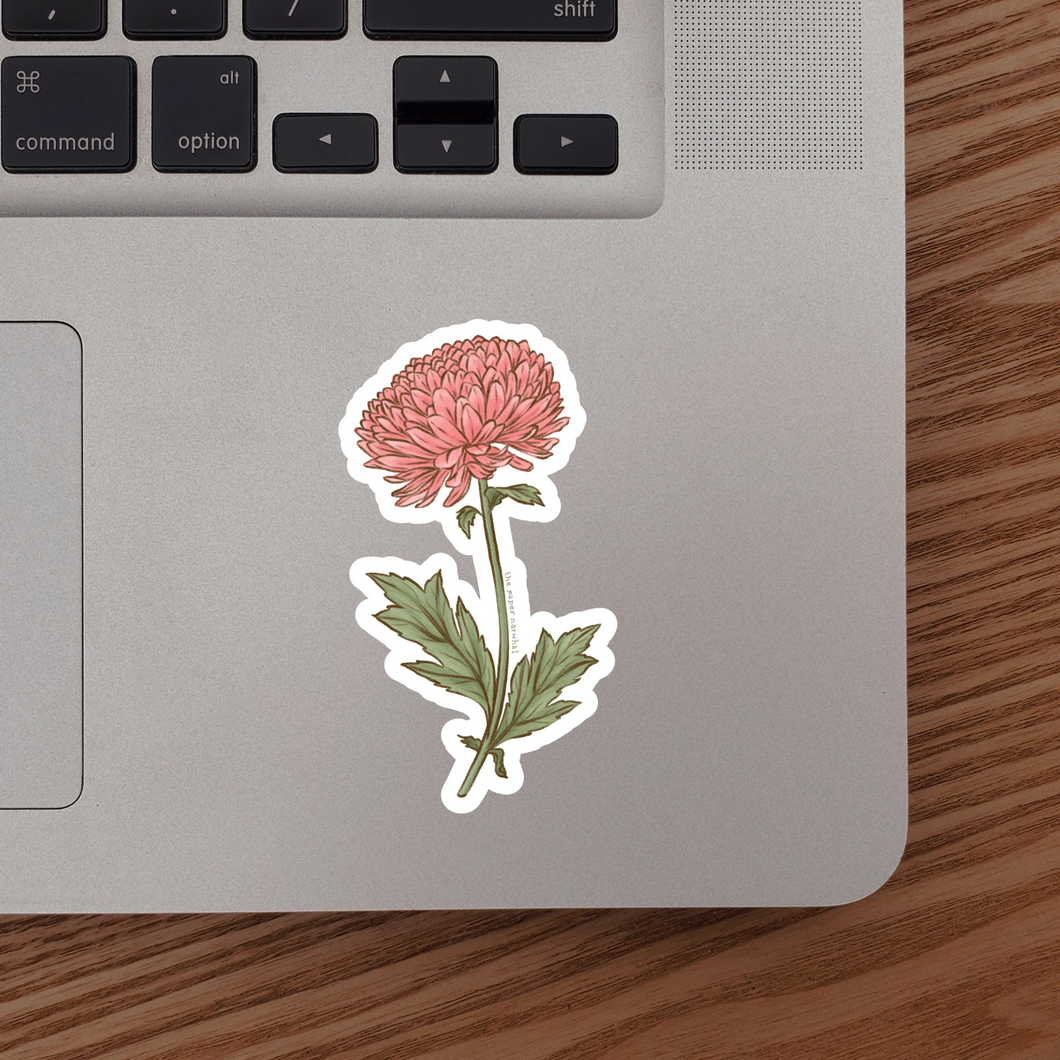 Chrysanthemum (November Birth Month Flower) Sticker